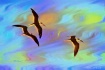 Black Skimmers Th...