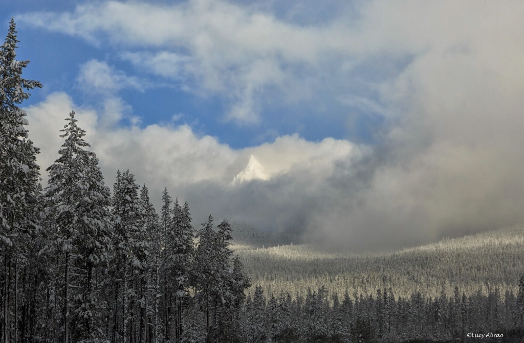 Mt. Thielsen