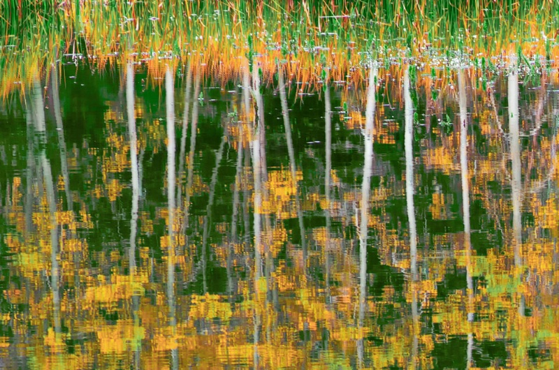 Fall Reflections In A Pond
