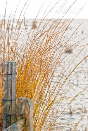 A Vacant Beach