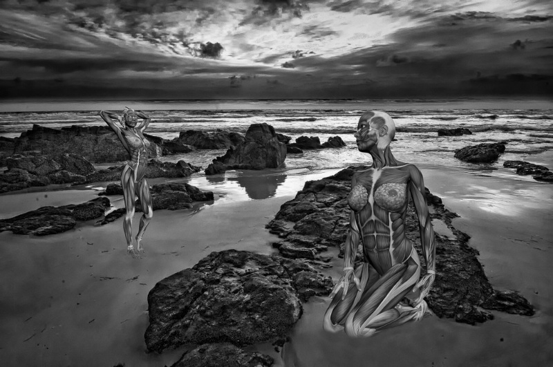 Nude Beach Fantasy - ID: 15288106 © Bob Miller