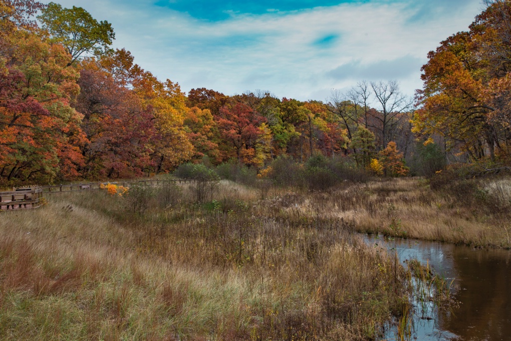 MG 5923 Indiana Dunes Sate Park Restoration - ID: 15288215 © John A. Roquet