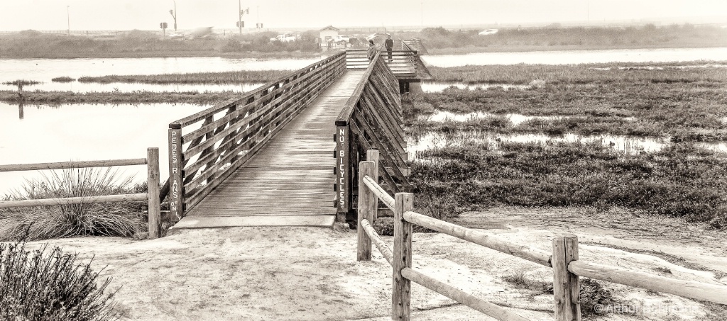 Early Morning In The Wetlands