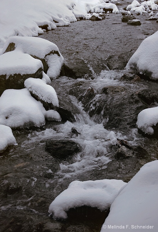 Winter Stream