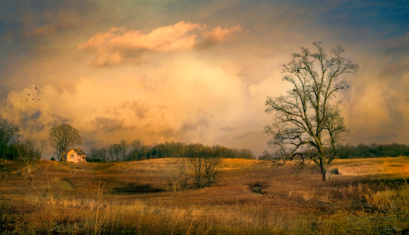 Early Spring Storm