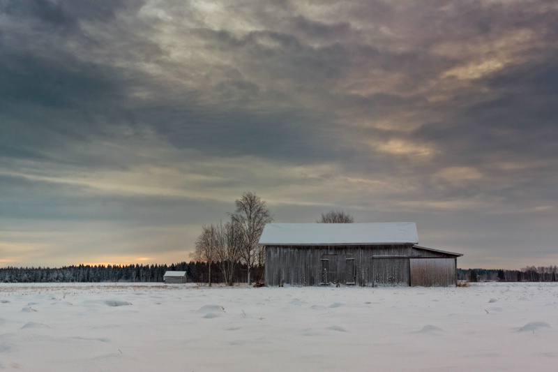 Barn Houses On The Snowy Fields