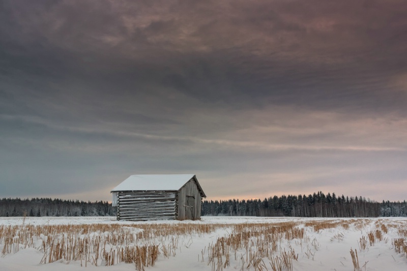 Tiny Barn House On The Snowy Field