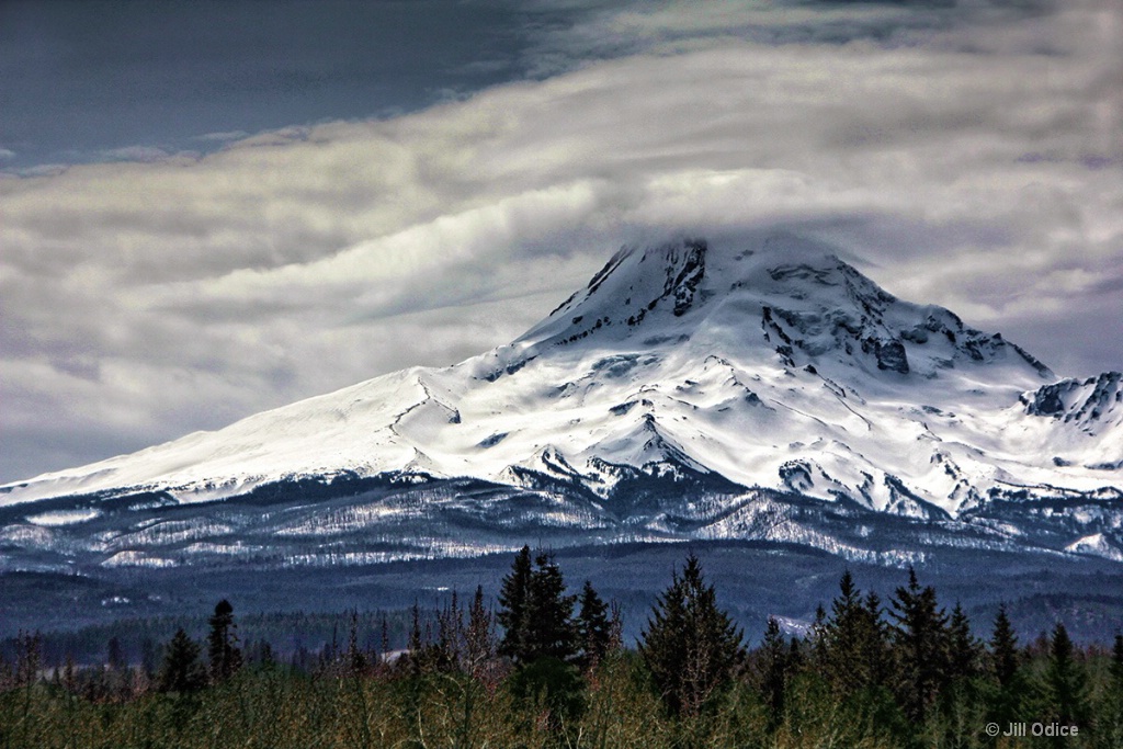 Mt. Hood