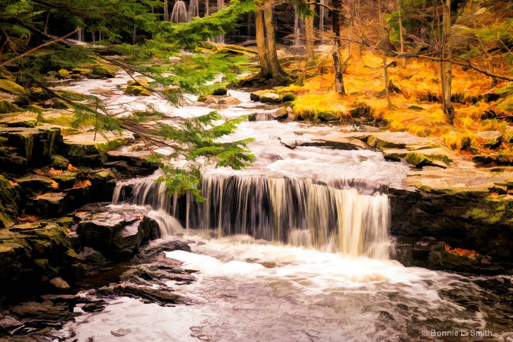 Vaughn's Woods Waterfall - ID: 15290195 © Bonnie L. Smith