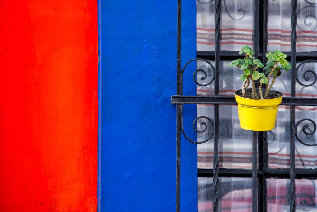 Yellow flower pot