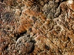 Carving Block