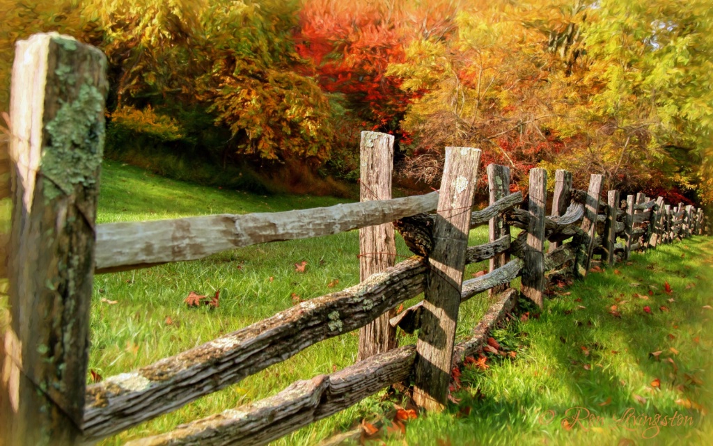 Fence Line