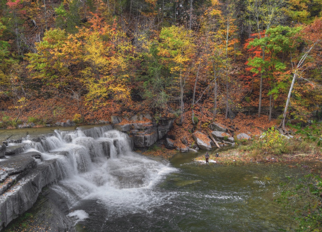 Fishing At The Falls