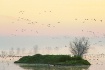 Dawn Patrols