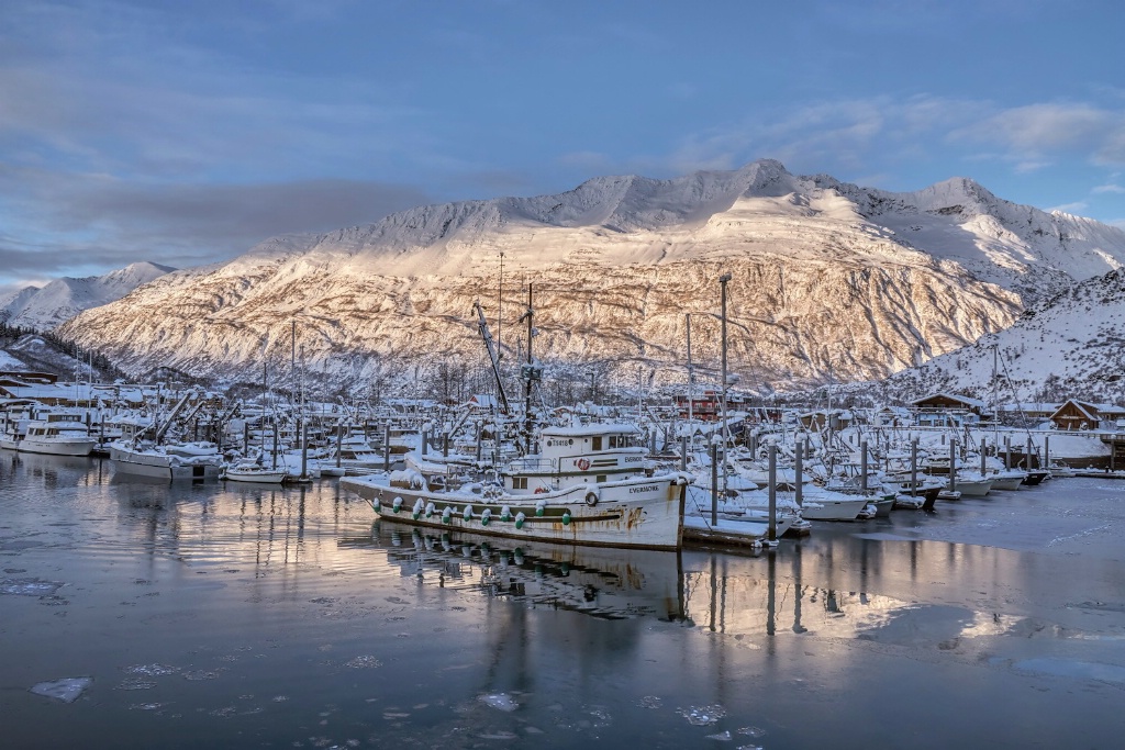 Harbor Backlight 1400