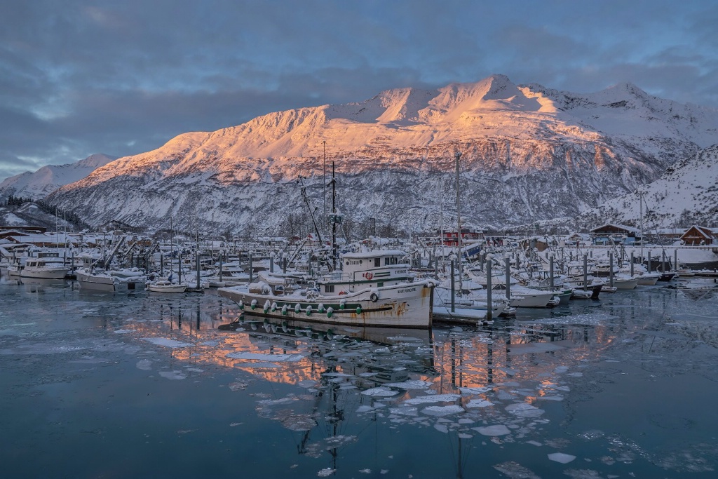 Harbor Backlight 1510 - ID: 15292258 © Gary H. Minish