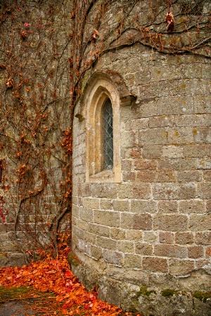 Castle in Autumn