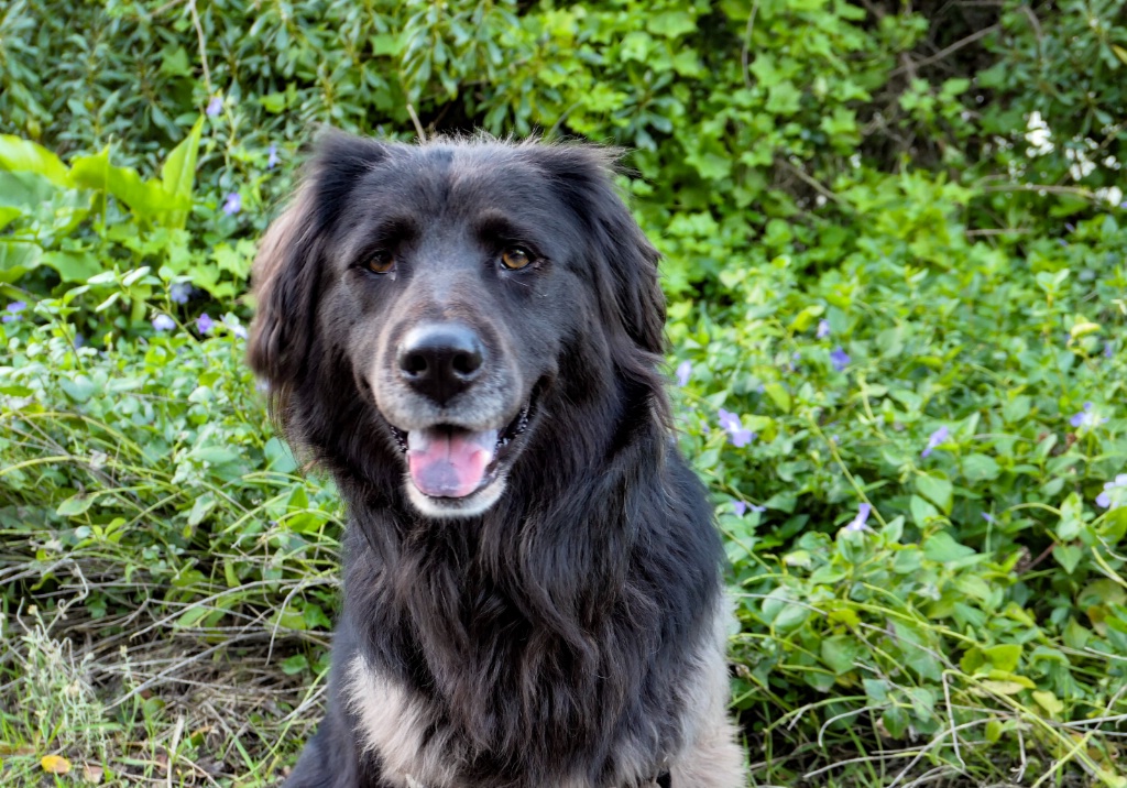 Lucy