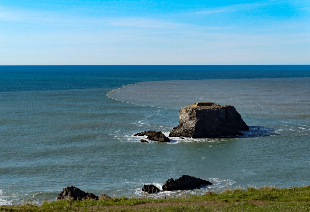 Sonoma Coast