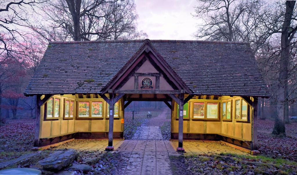 Queenswood Arboretum at Sunset