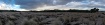Bodega dunes