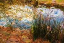 January 2017 Photo Contest 2nd Place Prize Winner