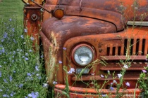 May 2024 Photo Contest 2nd Place Prize Winner