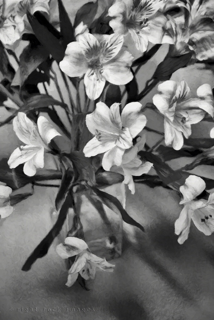 Bouquet in Black and White