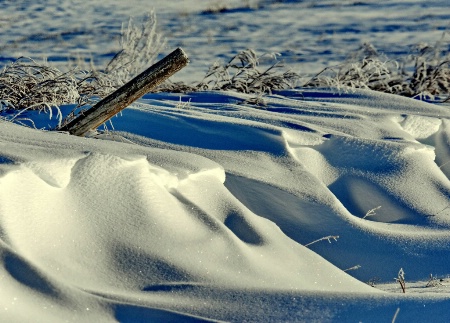 Nature's Carving