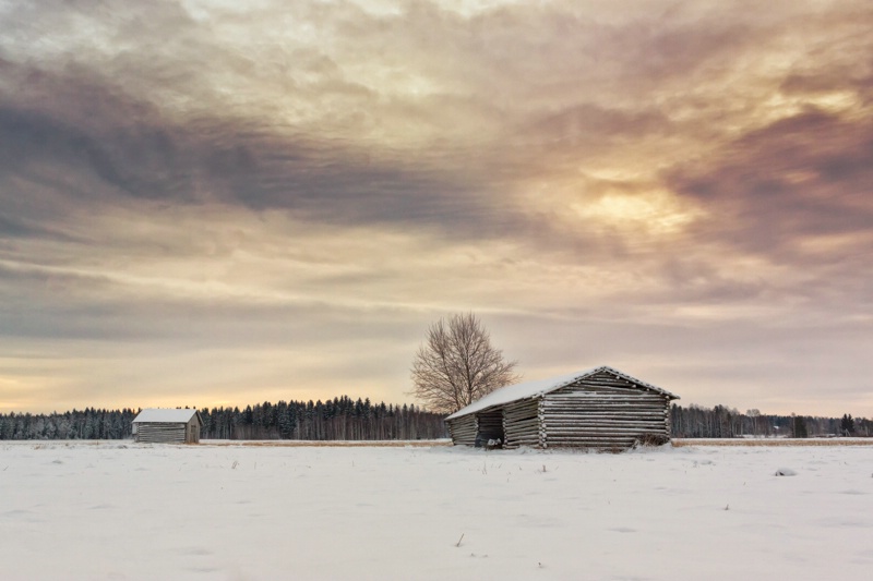 Two Barn Houses On The Winter Fields