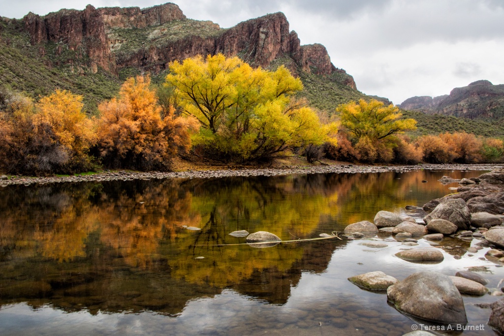 The Salt River in Winter