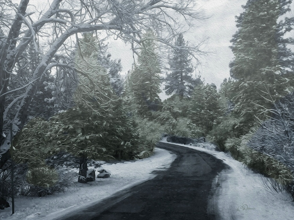 Snowy Road