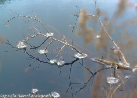 Natures ice sculpture