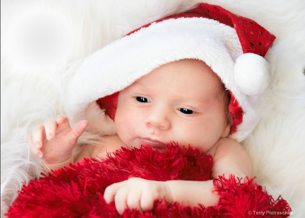Izabella's First Christmas - ID: 15296776 © Terry Piotraschke