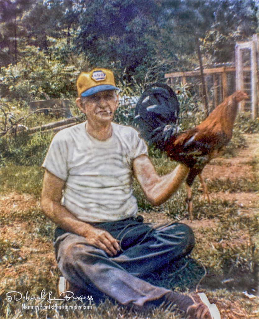 "PaPa's Rooster"