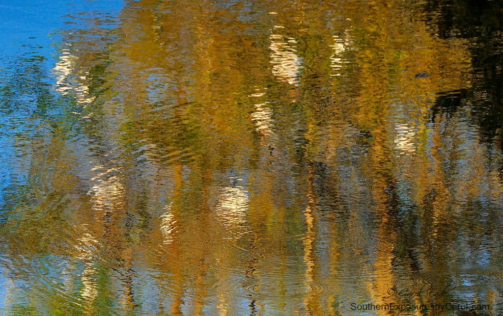 Wetlands Reflecting - ID: 15297144 © Carol Eade