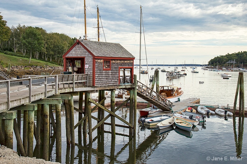 Maine Harbor