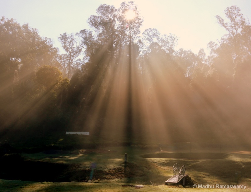 Mist & Shadows...