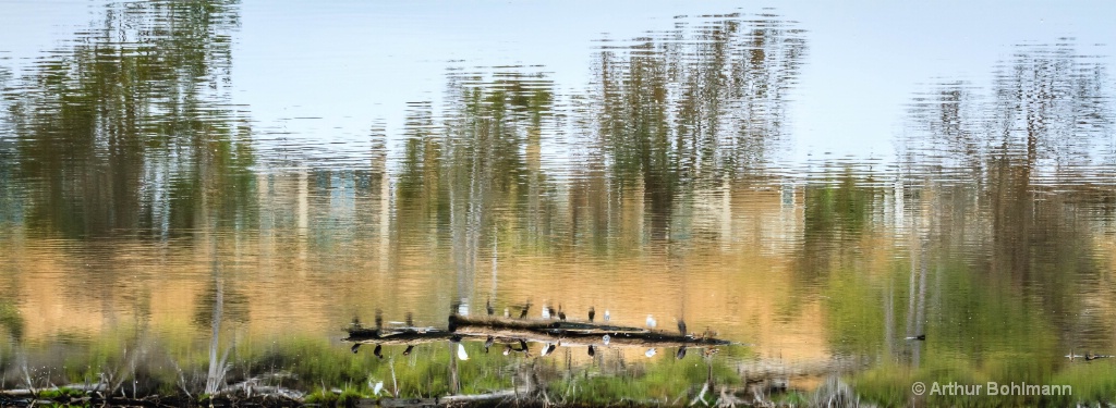 Wetlands Abstract