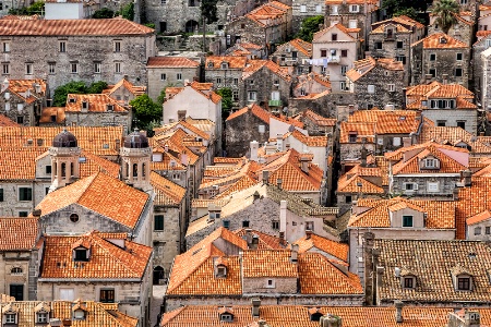 Rooftops from the Wall