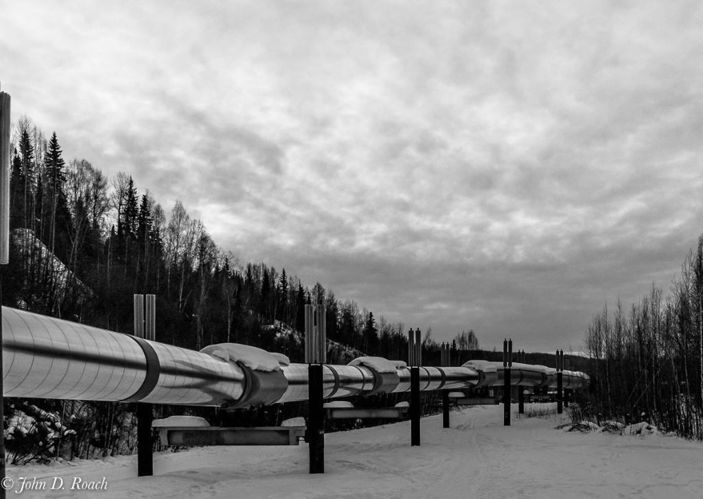 The Alaskan Pipeline - ID: 15297962 © John D. Roach