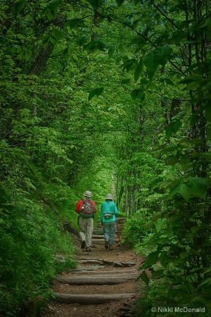 Up the Appalachian Trail