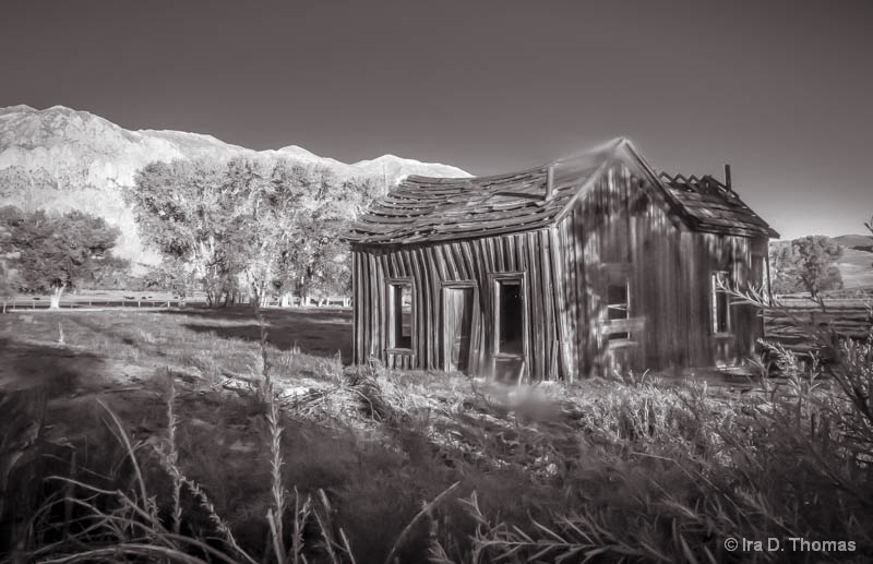 Abandoned Hut   Buttermilk Valley, CA 2012