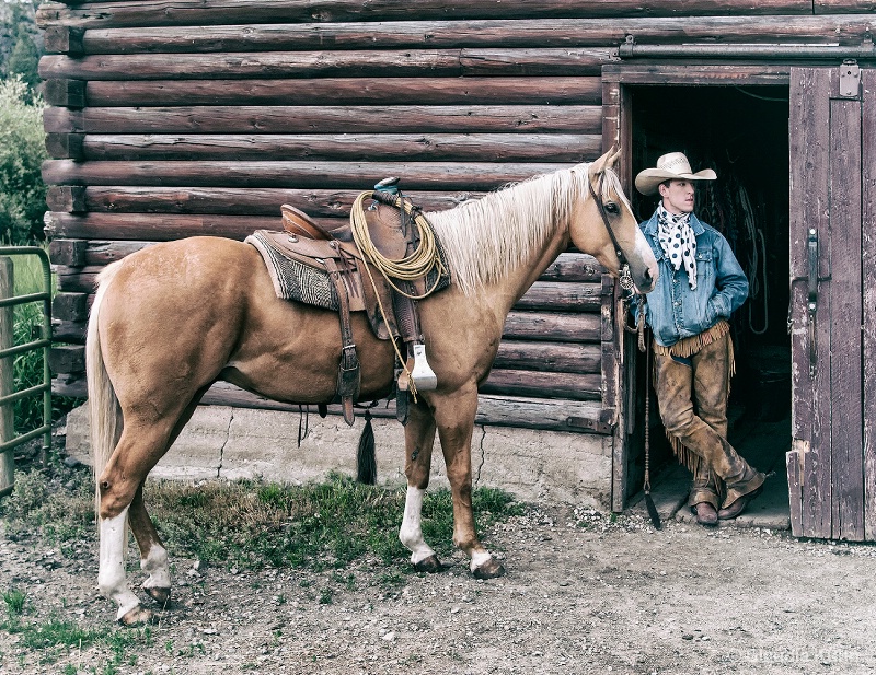 Cowboy and His Horse