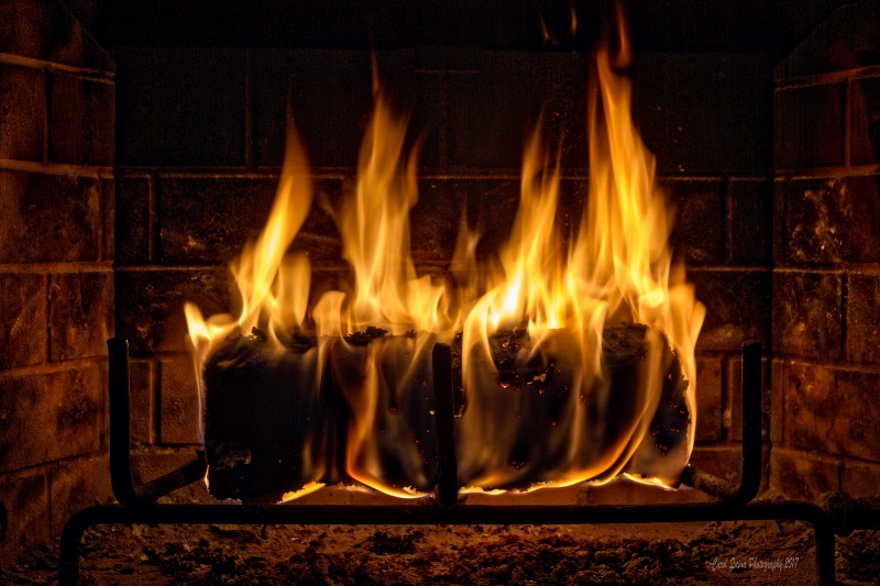 Fireplace Frolic