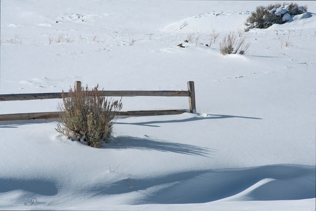 Snow Drift