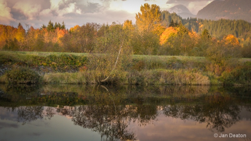 Fall in Maple Ridge