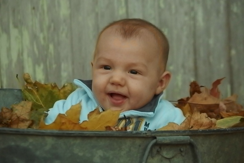 Sherwyn in the leaves ~ For the Forum