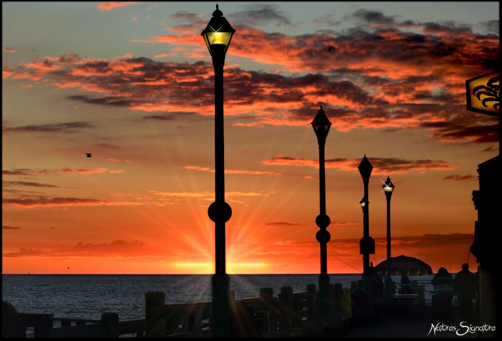 ~ Pier Sunset ~