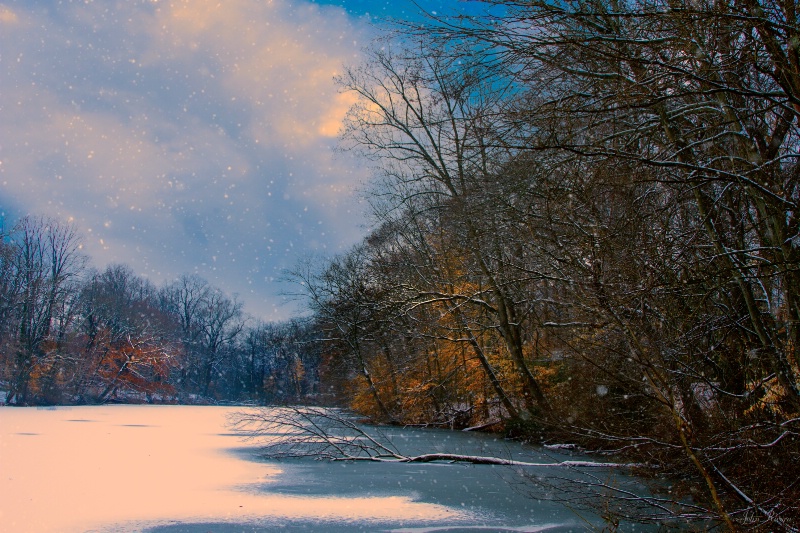 Winter Pond